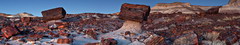 Petrified Forest